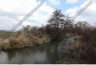 Photo Texture of Background Spring Nature